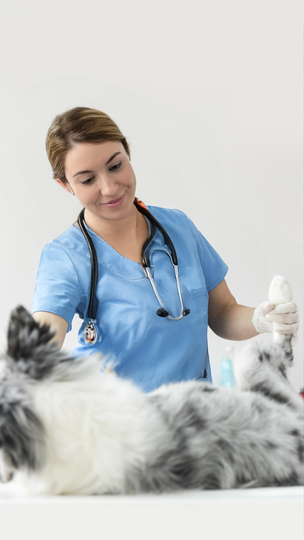 fisioterapia