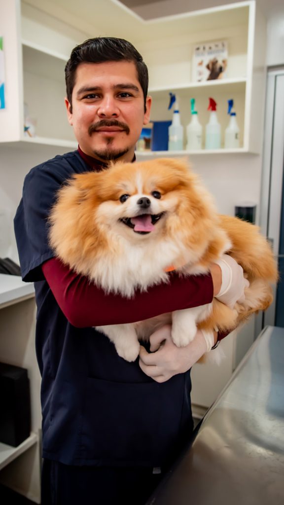 saji-doctor2